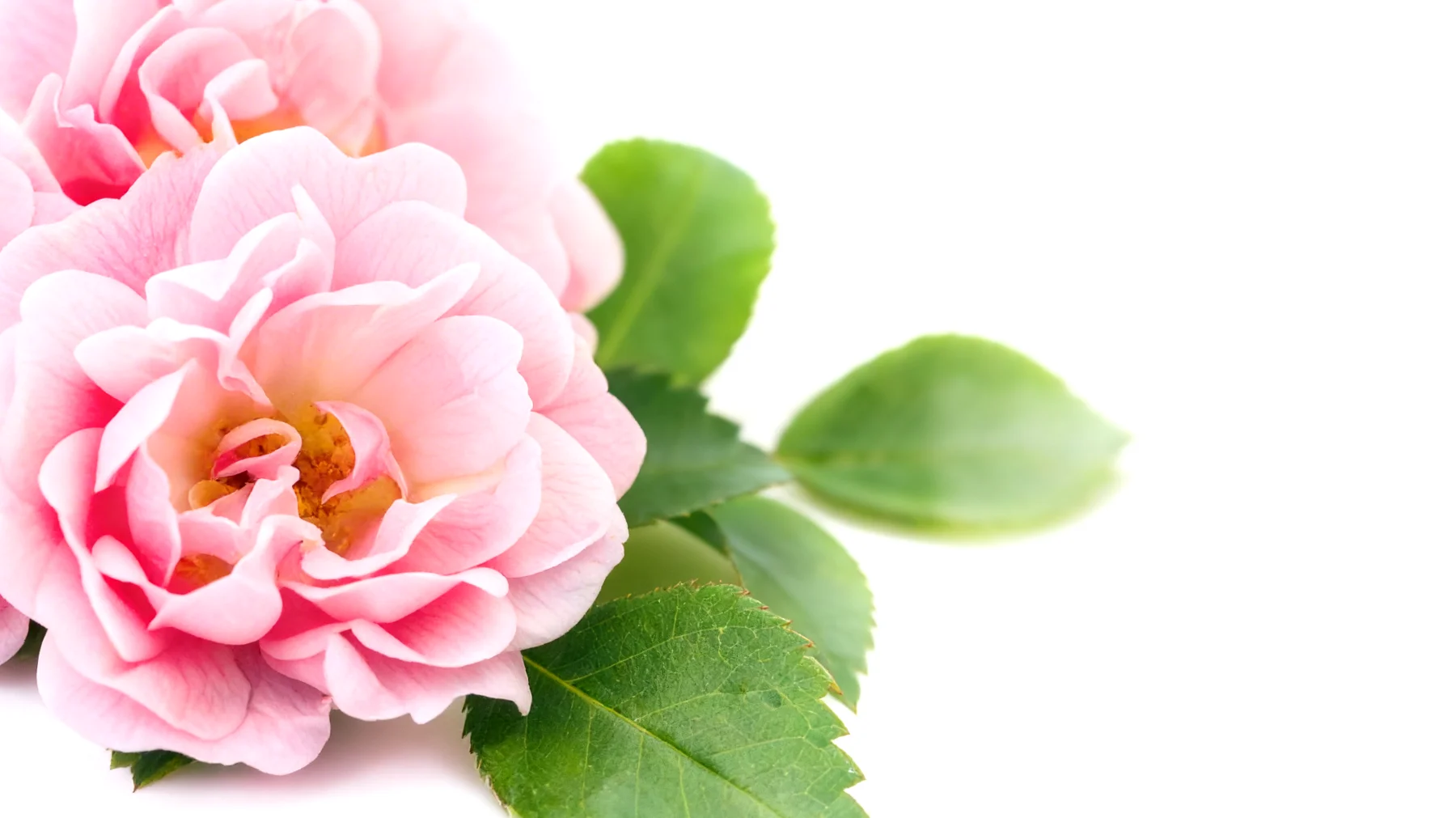 Unter uns2026-03-24T05:36:33.000Z"